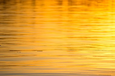 su arka planda renkli günbatımı ışığı.