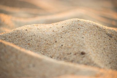 Çöl kumları closeup yakın çekim