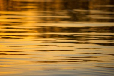 su arka planda renkli günbatımı ışığı.