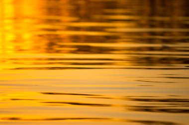 su arka planda renkli günbatımı ışığı.