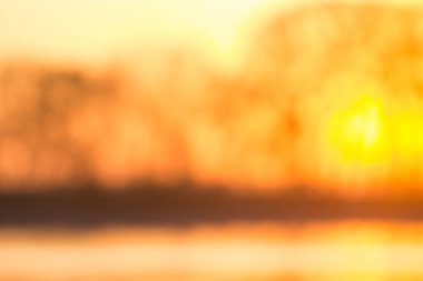 Güneş ışığı, sıcak rengi ile bokeh yaprak