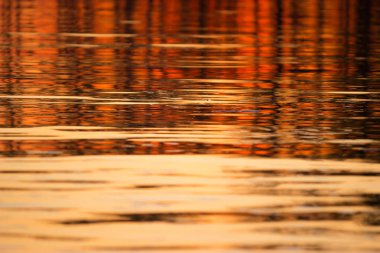 su arka planda renkli günbatımı ışığı.