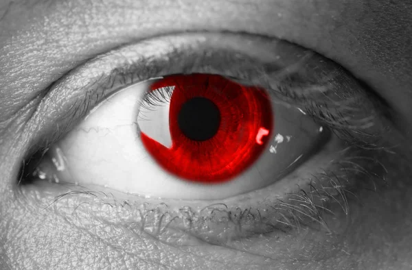 Olho Sangue Vermelho Perto — Fotografia de Stock