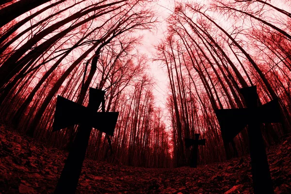 暗い森の墓地 — ストック写真