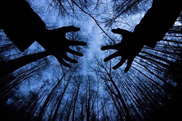 어두운 숲에서 유령의 실루엣 — 스톡 사진