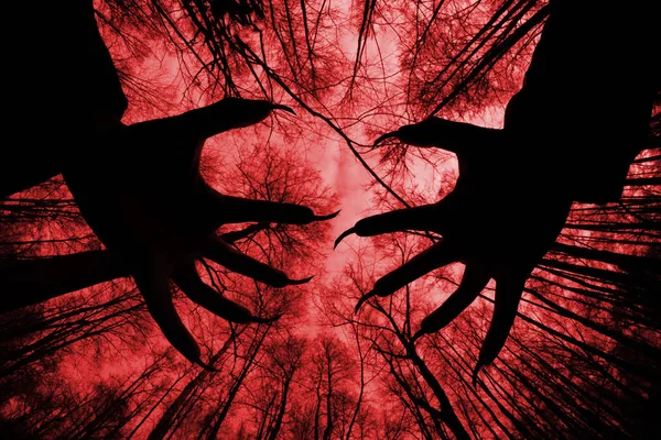 Spookachtige Silhouet Het Griezelige Donker Bos — Stockfoto
