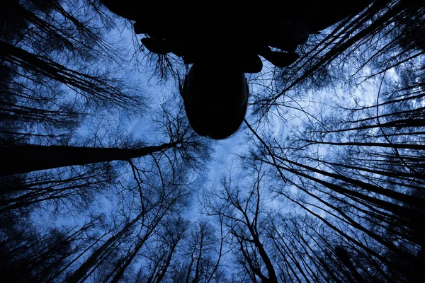 Gespenstische Silhouette Gespenstischen Dunklen Wald — Stockfoto