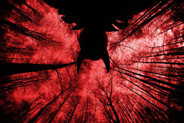 ghostly silhouette in spooky dark forest