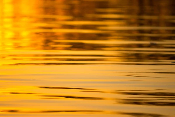 Water Background Colorful Sunset Light — Stock Photo, Image