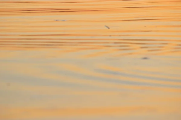 Νερό Φόντο Πολύχρωμο Φως Του Ηλιοβασιλέματος — Φωτογραφία Αρχείου