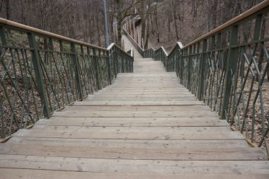 Yalnızlık kavramı. gri sonbahar park