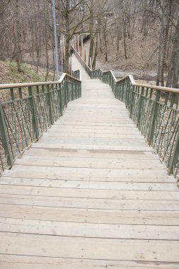 Yalnızlık kavramı. gri sonbahar park