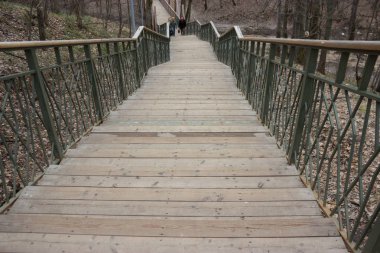 Yalnızlık kavramı. gri sonbahar park