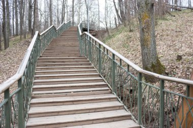 Yalnızlık kavramı. gri sonbahar park