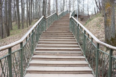 Yalnızlık kavramı. gri sonbahar park