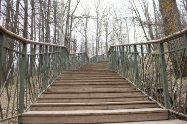 Yalnızlık kavramı. gri sonbahar park