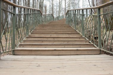 Yalnızlık kavramı. gri sonbahar park