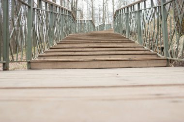 Yalnızlık kavramı. gri sonbahar park