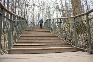 Yalnızlık kavramı. gri sonbahar park