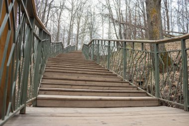 Yalnızlık kavramı. gri sonbahar park