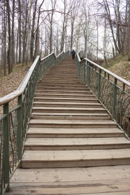 Yalnızlık kavramı. gri sonbahar park
