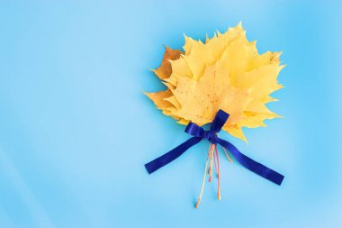 kopya alanı ile mavi arka plan üzerinde sonbahar yaprakları