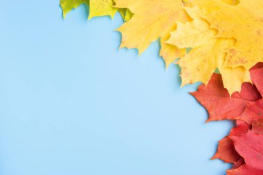 kopya alanı ile mavi arka plan üzerinde sonbahar yaprakları