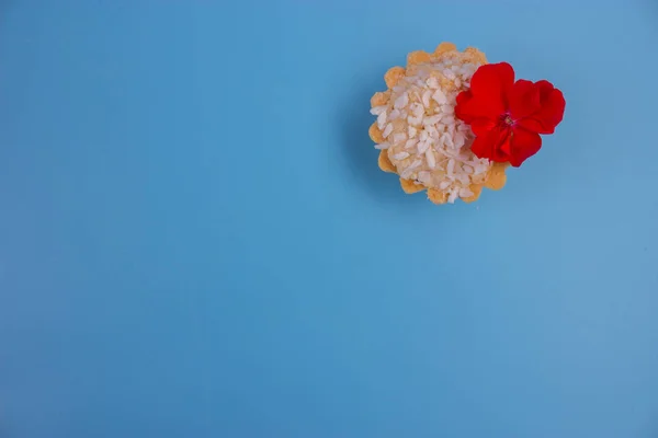 Tasty cupcake on a blue background