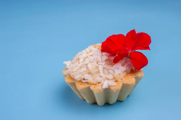 Sabroso Cupcake Sobre Fondo Azul — Foto de Stock