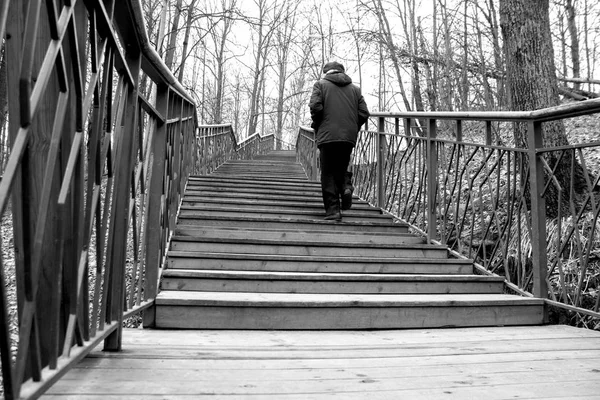 Pojem Samoty Šedá Podzimní Park — Stock fotografie