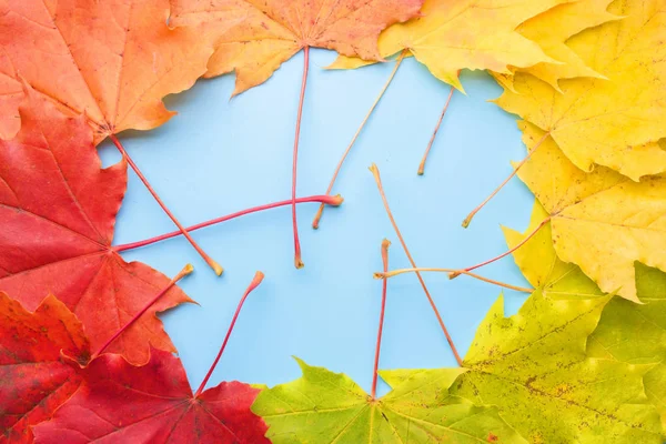 Красочные Красно Желтые Оранжевые Осенние Листья Голубом Фоне — стоковое фото