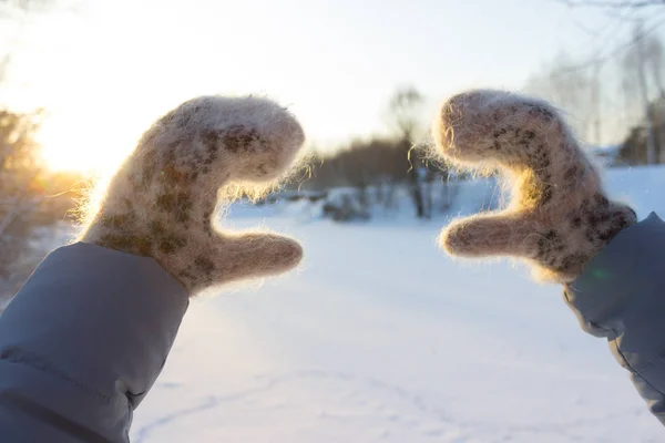 Woman Hands Winter Gloves — Stock Photo, Image