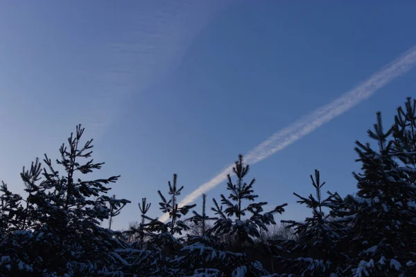 Paysage Hiver Paysage Enneigé — Photo