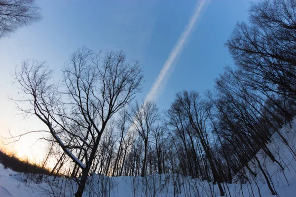 Paesaggio Inverno Paesaggio Innevato — Foto Stock