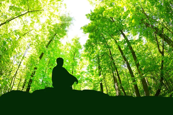 Calm man meditating in yoga pose in green forest