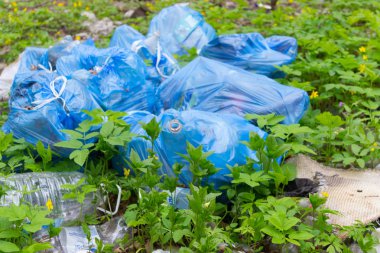 ormanda çöplüğü. çevre kirliliği kavramı