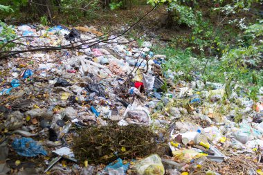 Çöp ormanın içinde. büyük yeşil orman çöplükte