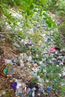 Çöp ormanın içinde. büyük yeşil orman çöplükte