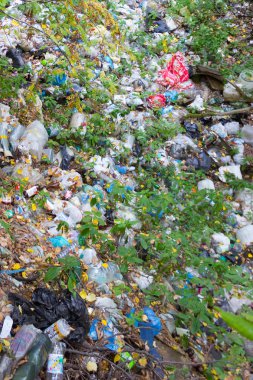 Çöp ormanın içinde. büyük yeşil orman çöplükte