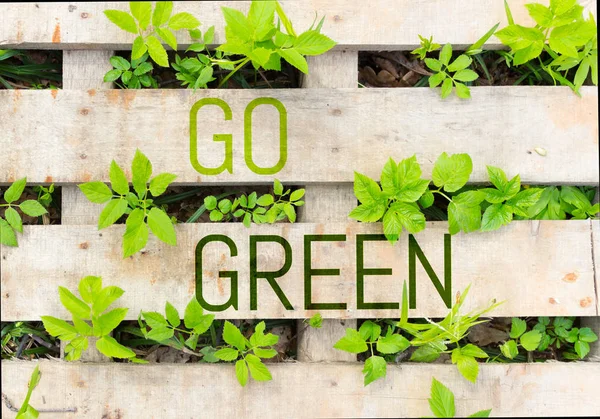 Green Konzeptbild Grüne Pflanzen Und Holz — Stockfoto