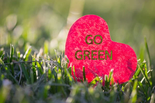 Cuore Rosso Giaceva Erba Verde Fresca — Foto Stock