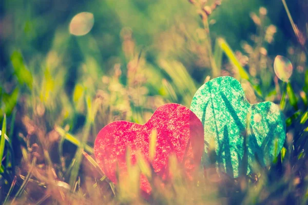 Красное Сердце Лежало Свежей Зеленой Траве — стоковое фото