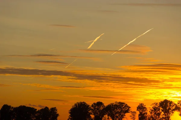 Landskap Sunny Dawn Ett Fält Solnedgång Över Träden — Stockfoto