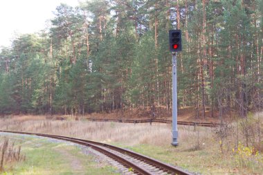 Eski Tren düşünce orman gider. seyahat kavramı