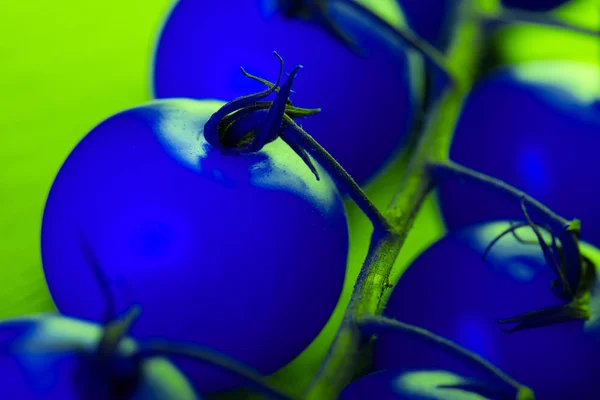 Tomate Cereza Azul Luz Neón Imagen Tonificada — Foto de Stock