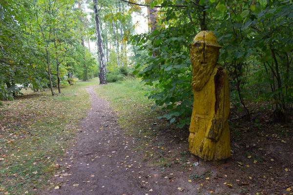 Stara Drewniana Figura Big Stary Statua Straszny — Zdjęcie stockowe