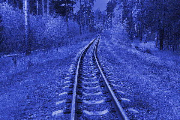 Railroad tracks through the woods at night.