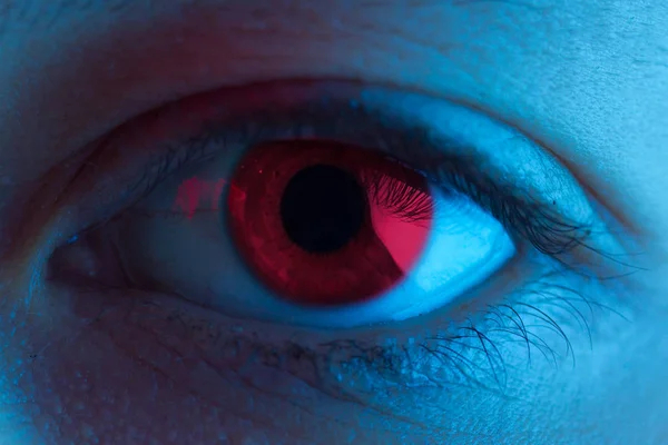 Rood bloed oog — Stockfoto