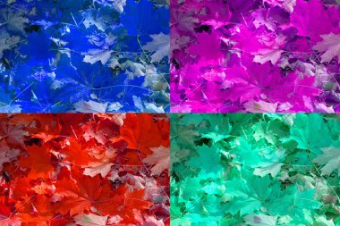 Psycodelic renk sonbahar yaprakları