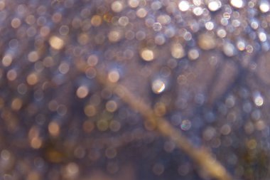 Sonbahar yaprak ve damla.